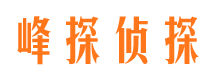 伍家岗外遇出轨调查取证